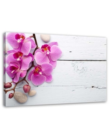 Pink orchid on boards - Canvas print. Buy now| | FEEBY