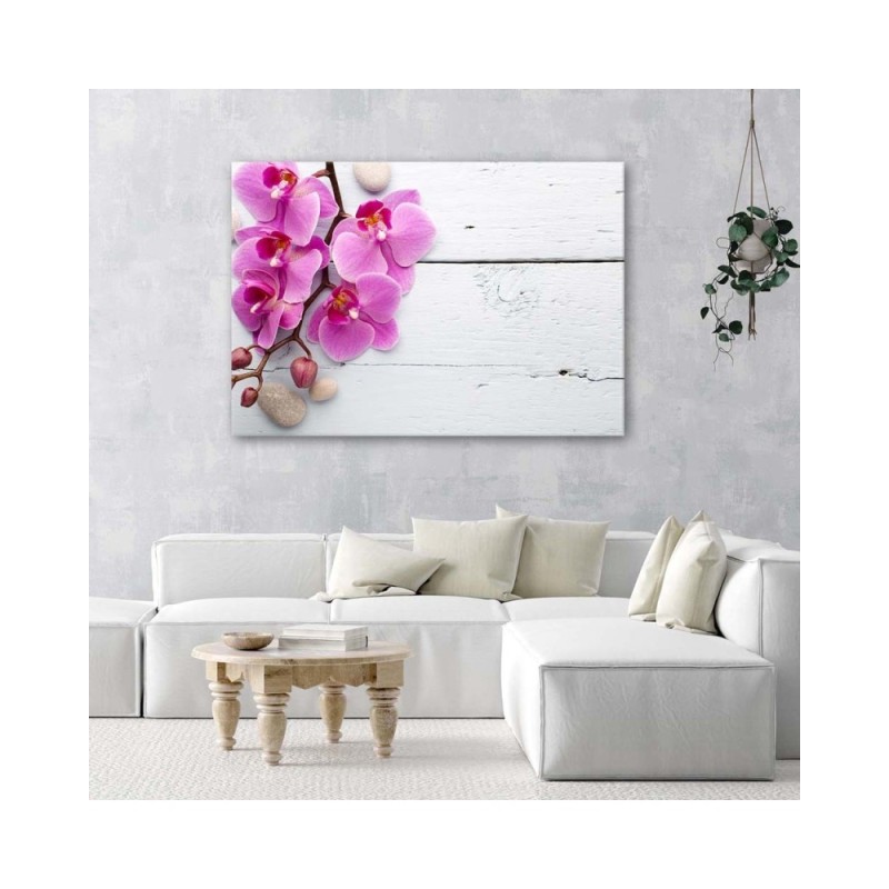 Bild auf Leinwand - Rosa Orchidee und Knospen | Feeby