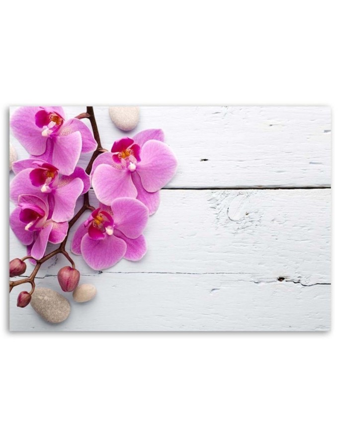 Różowa orchidea na deskach - Wydruk na płótnie | FEEBY
