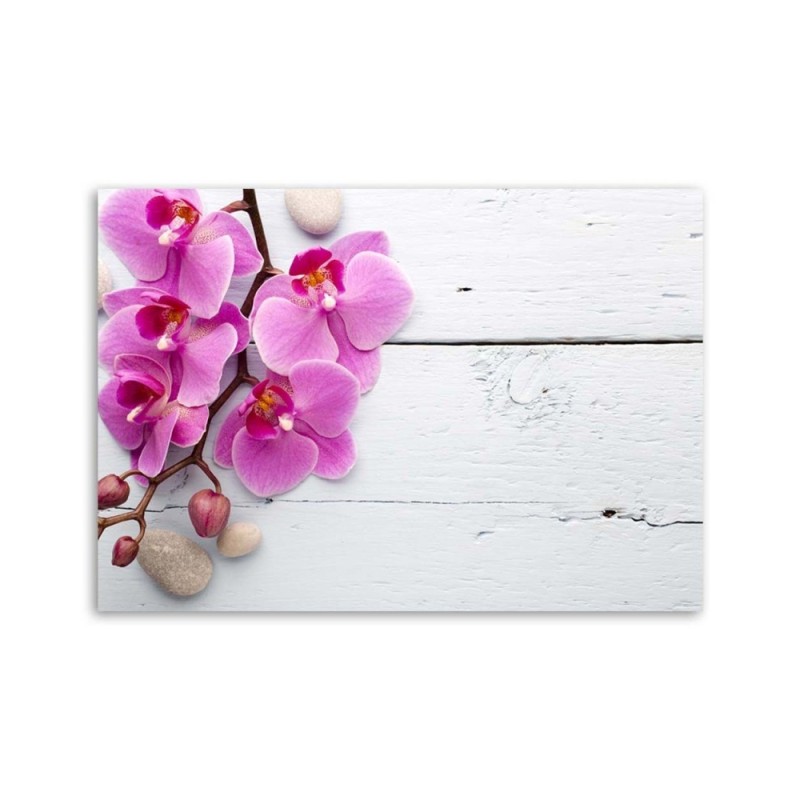 Bild auf Leinwand - Rosa Orchidee und Knospen | Feeby