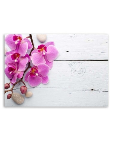 Bild auf Leinwand - Rosa Orchidee und Knospen | Feeby