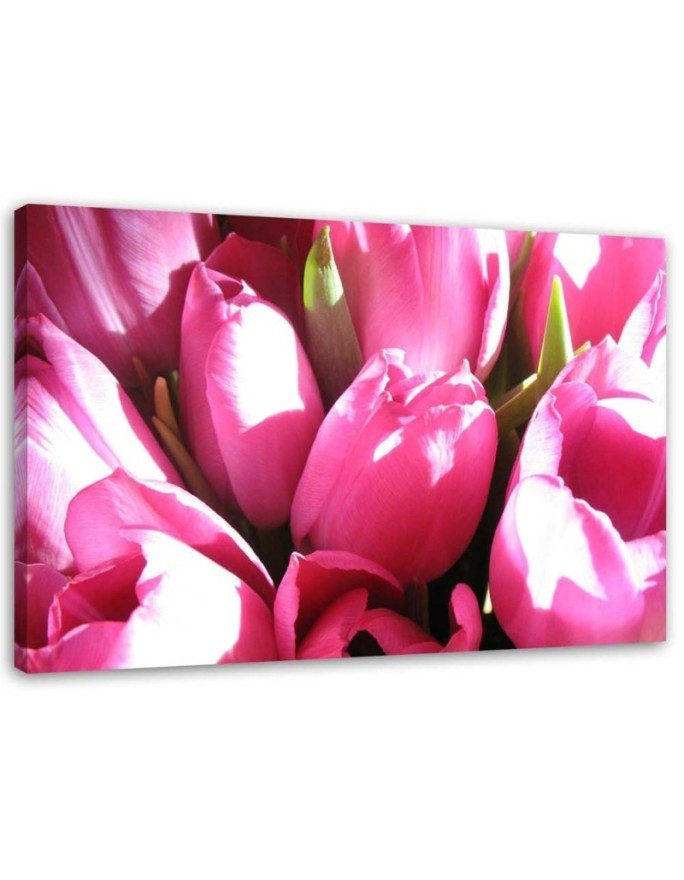 Leinwandbild - Blumenstrauß aus rosa Tulpen | Feeby