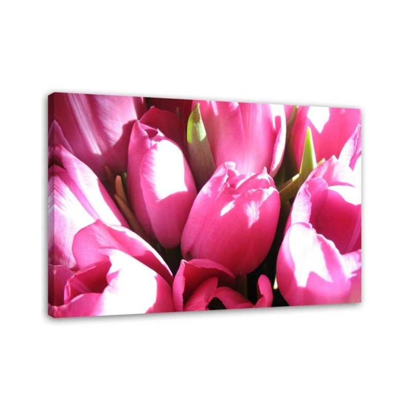 Leinwandbild - Blumenstrauß aus rosa Tulpen | Feeby
