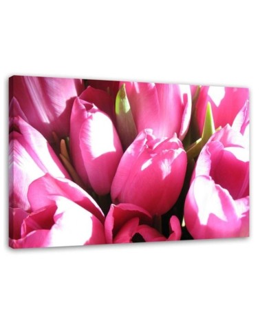 Leinwandbild - Blumenstrauß aus rosa Tulpen | Feeby