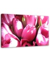 Pink tulip bouquet - Canvas print | FEEBY