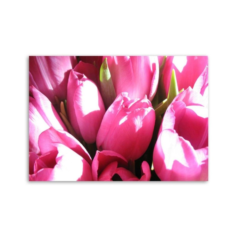 Leinwandbild - Blumenstrauß aus rosa Tulpen | Feeby