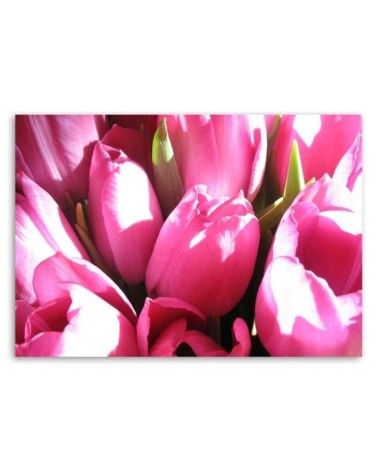Leinwandbild - Blumenstrauß aus rosa Tulpen | Feeby