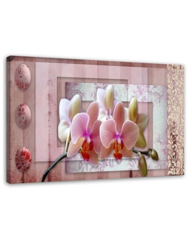 Wandbild für Wohnzimmer - Rosa Vintage-Orchidee | Feeby