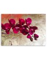 Czerwone orchidee - Obraz do salonu | FEEBY