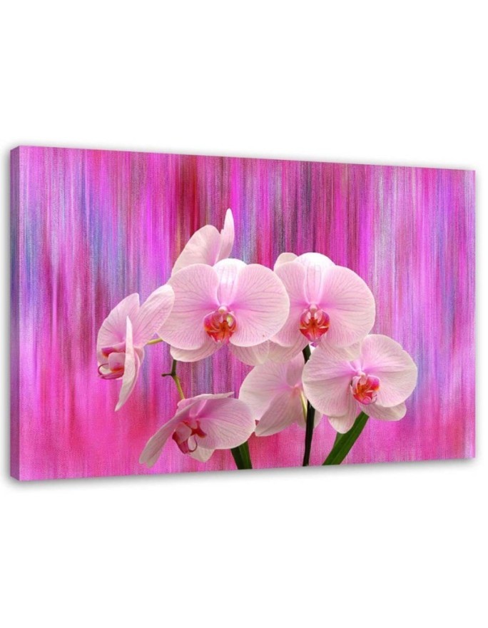 Leinwandbild - Orchideen in Lila und Rosa | Feeby