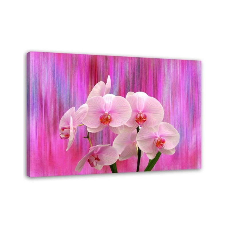Leinwandbild - Orchideen in Lila und Rosa | Feeby