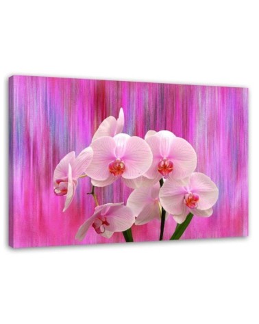 Leinwandbild - Orchideen in Lila und Rosa | Feeby