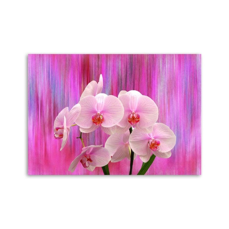 Leinwandbild - Orchideen in Lila und Rosa | Feeby