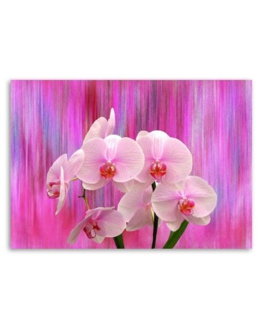 Leinwandbild - Orchideen in Lila und Rosa | Feeby