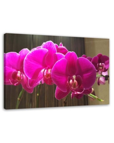 Orchids in fuchsia - Canvas prints for the living room | FEEBY