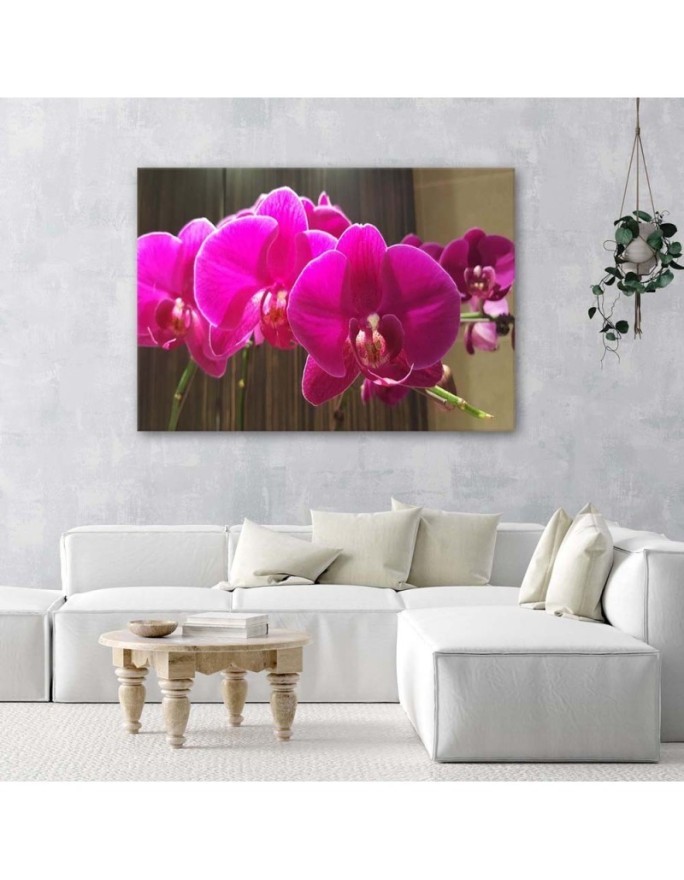 Orchids in fuchsia - Canvas prints for the living room | FEEBY