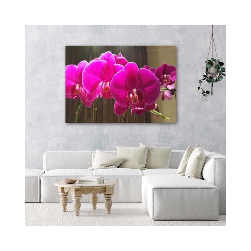 Leinwandbild modern - Fuchsia-Orchideen | Feeby