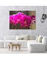 Orchids in fuchsia - Canvas prints for the living room | FEEBY