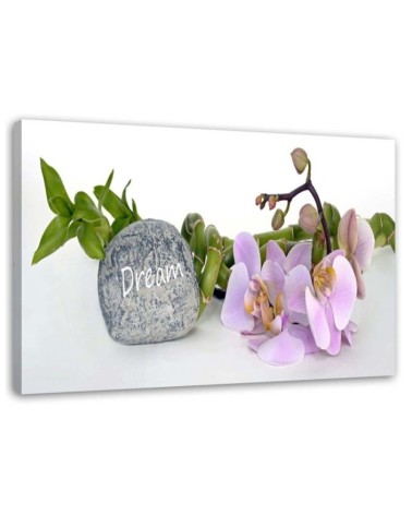 Leinwandbild - Orchideen am Stein mit Traum-Inschrift | Feeby
