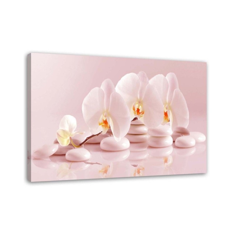 Bild auf Leinwand - Zen-Orchideen in Puderrosa | Feeby