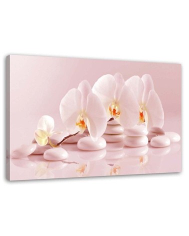 Wall art painting - Zen orchids in powder pink | FEEBY