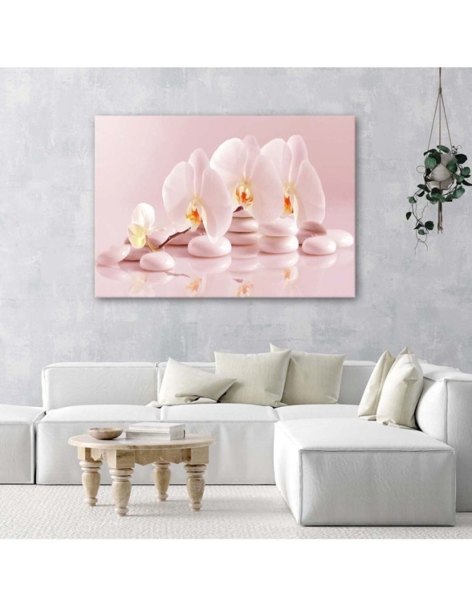 Obraz na ścianę - Orchidea zen w pudrowym różu | FEEBY