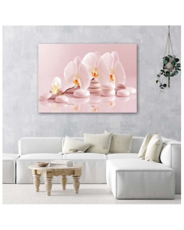 Bild auf Leinwand - Zen-Orchideen in Puderrosa | Feeby