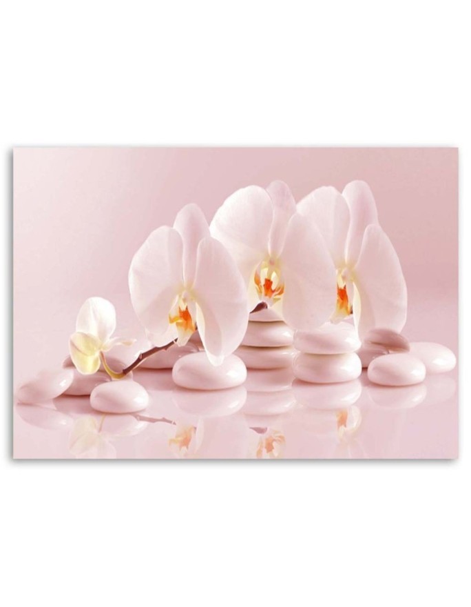Obraz na ścianę - Orchidea zen w pudrowym różu | FEEBY