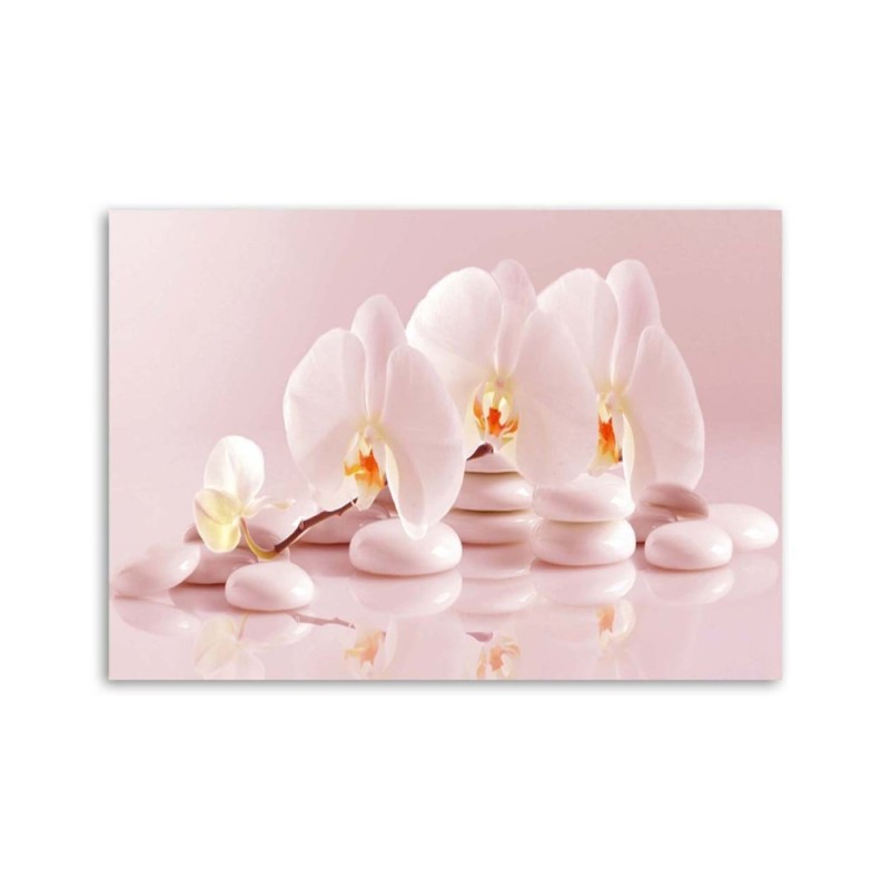 Bild auf Leinwand - Zen-Orchideen in Puderrosa | Feeby