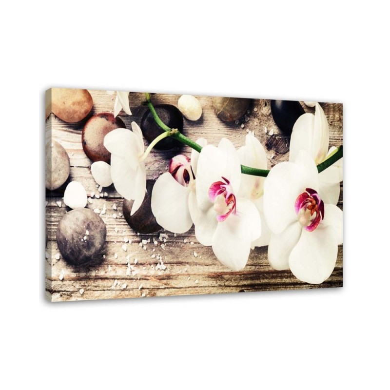 Leinwandbild - Weiße Zen-Orchideen | Feeby