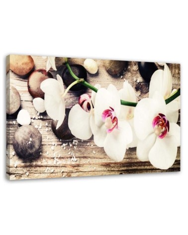 Leinwandbild - Weiße Zen-Orchideen | Feeby