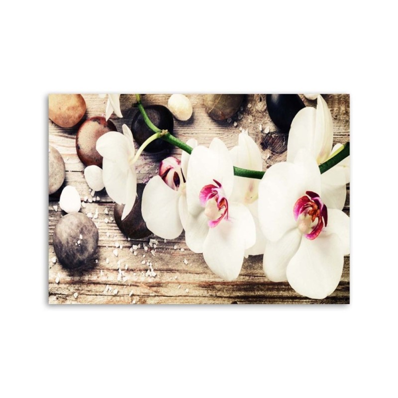 Leinwandbild - Weiße Zen-Orchideen | Feeby