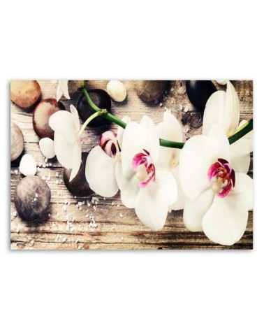 Leinwandbild - Weiße Zen-Orchideen | Feeby