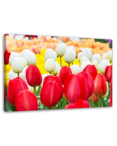 Modern Canvas painting for bedroom - Tulips in a meadow | FEEBY