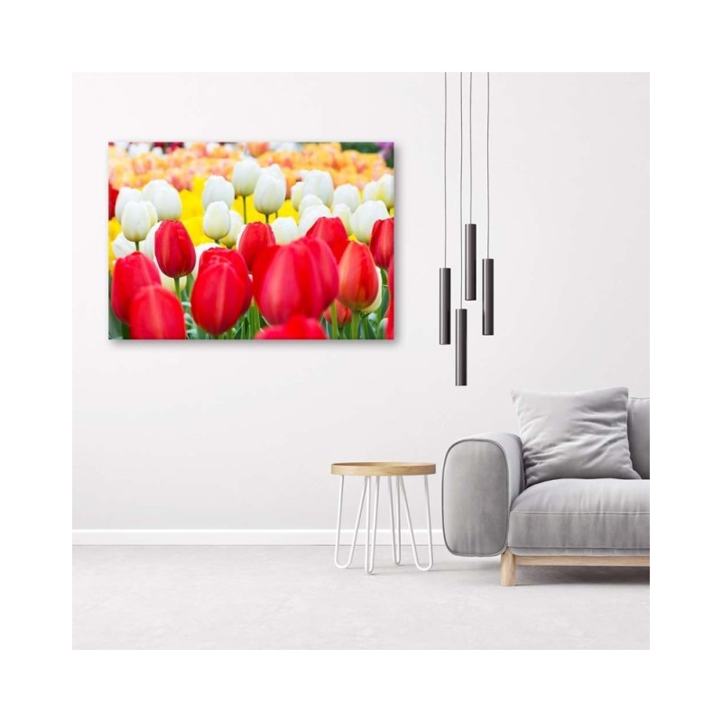 Bild auf Leinwand - Mehrfarbige Tulpen | Feeby
