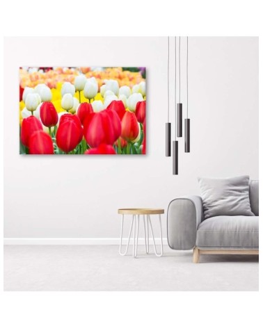 Bild auf Leinwand - Mehrfarbige Tulpen | Feeby