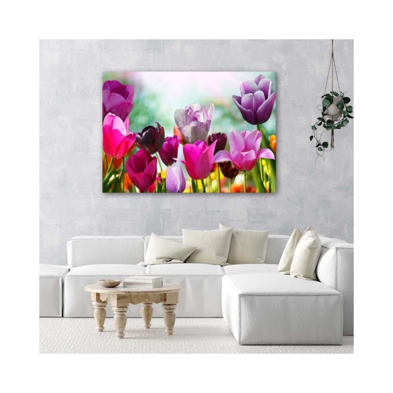 Leinwanddruck - Bunte Tulpen auf einer Wiese | Feeby