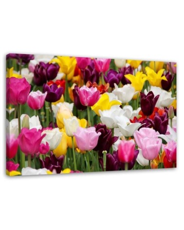 Modern Canvas painting for bedroom - Meadow full of tulips | FEEBY