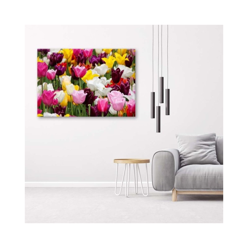Leinwandbild - Wiese voller Tulpen | Feeby