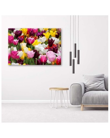 Leinwandbild - Wiese voller Tulpen | Feeby