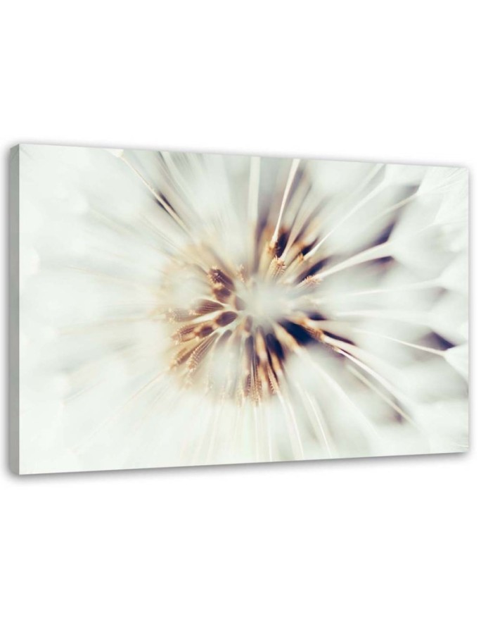 Wandbild für Wohnzimmer - Nahaufnahme eines Löwenzahns | Feeby