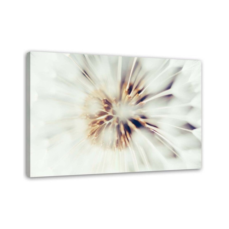 Wandbild für Wohnzimmer - Nahaufnahme eines Löwenzahns | Feeby