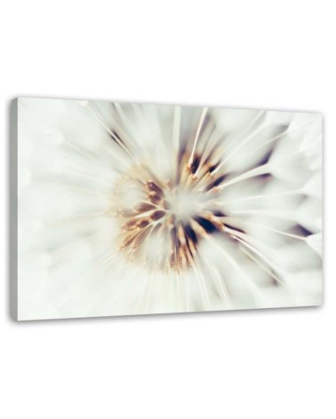 Wandbild für Wohnzimmer - Nahaufnahme eines Löwenzahns | Feeby