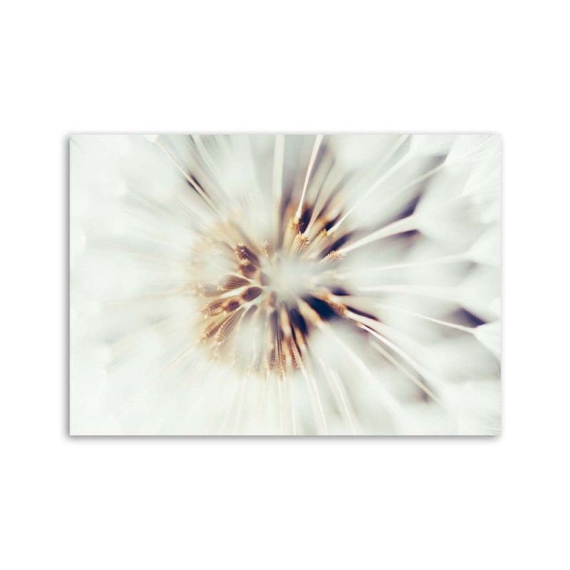 Wandbild für Wohnzimmer - Nahaufnahme eines Löwenzahns | Feeby