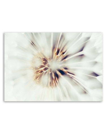 Wandbild für Wohnzimmer - Nahaufnahme eines Löwenzahns | Feeby