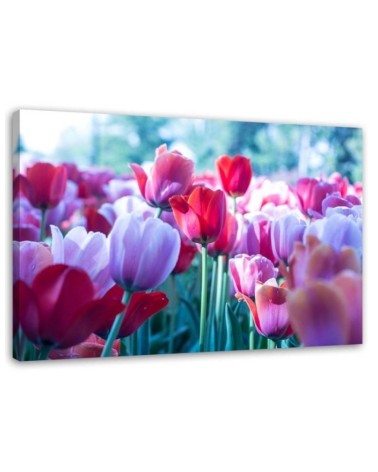 Modern canvas painting - Meadow full of tulips | FEEBY
