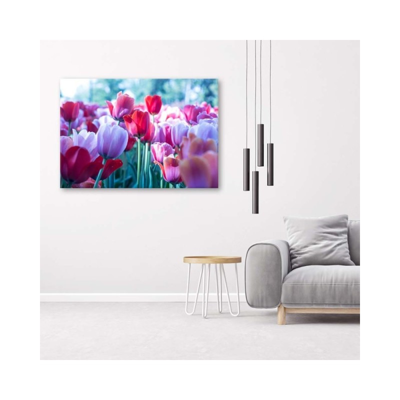 Modernes Wandbild - Tulpenwiese | Feeby