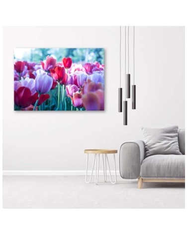 Modernes Wandbild - Tulpenwiese | Feeby