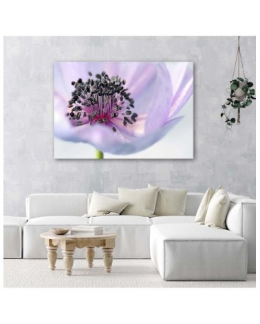 Leinwandbild - Violette Anemone | Feeby
