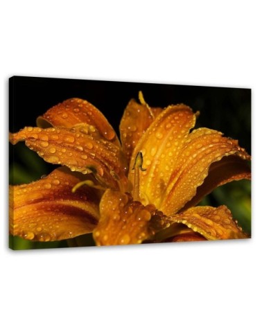 Canvas prints for living room - Orange lily. High quality  | FEEBY